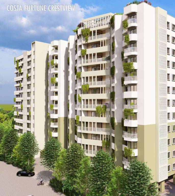 costa furtune crestview Elevation