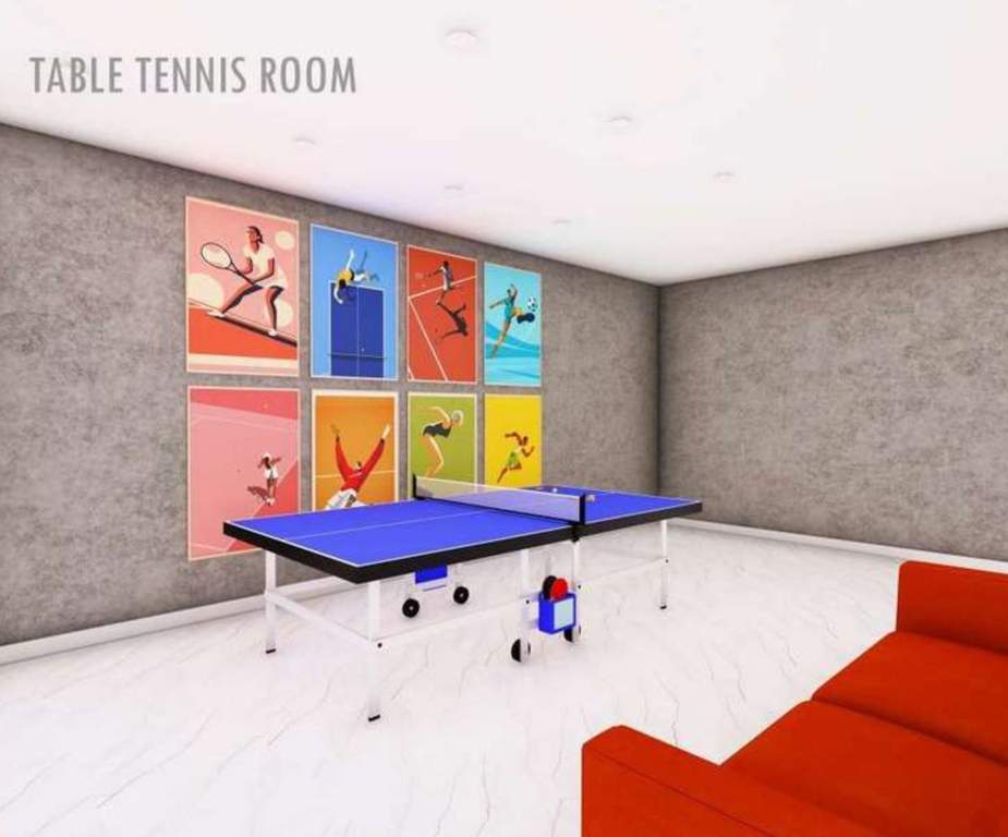 costa furtune crestview Table Tennis