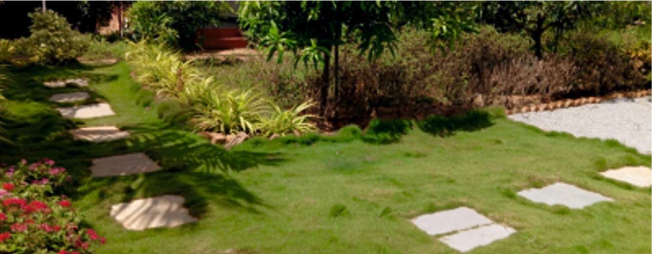  siri ii Landscape Garden and Tree Planting