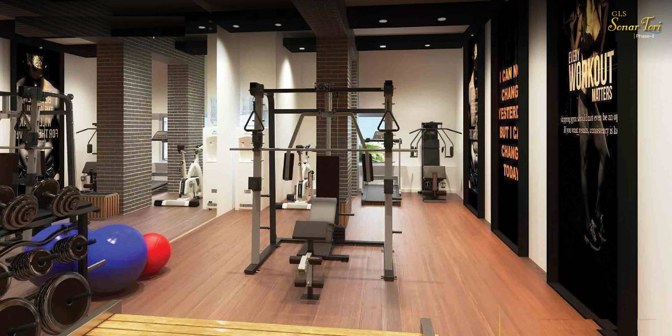  sonar tori phase ii Gymnasium