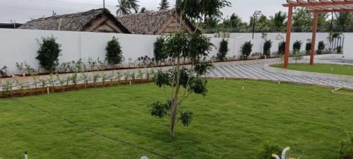  sky-park Landscape Garden and Tree Planting