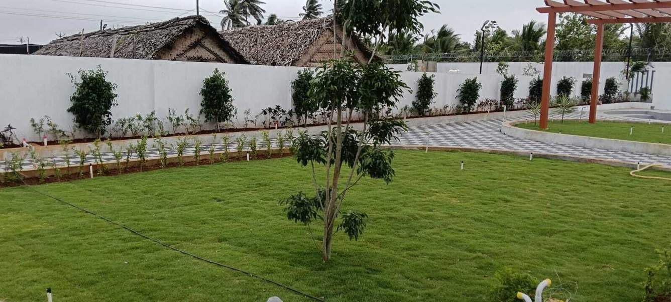 sky park Landscape Garden and Tree Planting