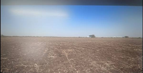  residency-477 Construction Status July-25