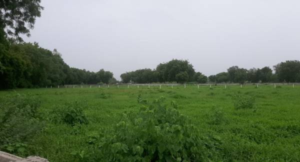  sahastra-villa Construction Status Sept-25