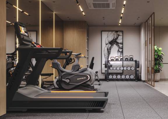  the antillia Gymnasium