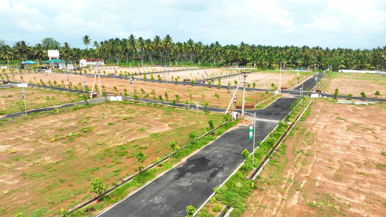 coco enclave Plot