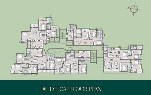  dynasty Dynasty Cluster Plan