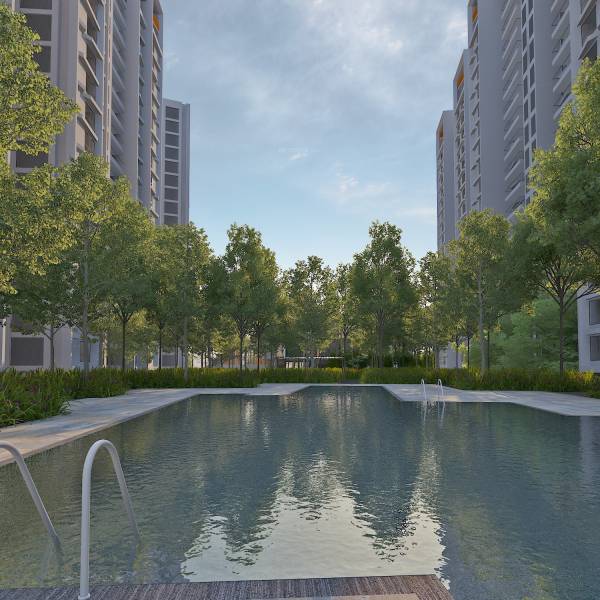  inspacial-new-project Swimming Pool