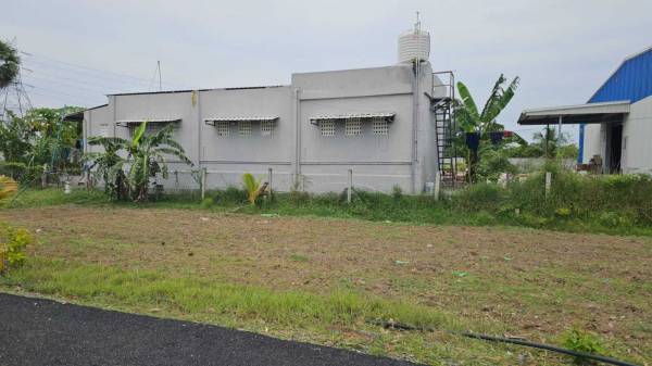  sai-k-raman-avenue Plot