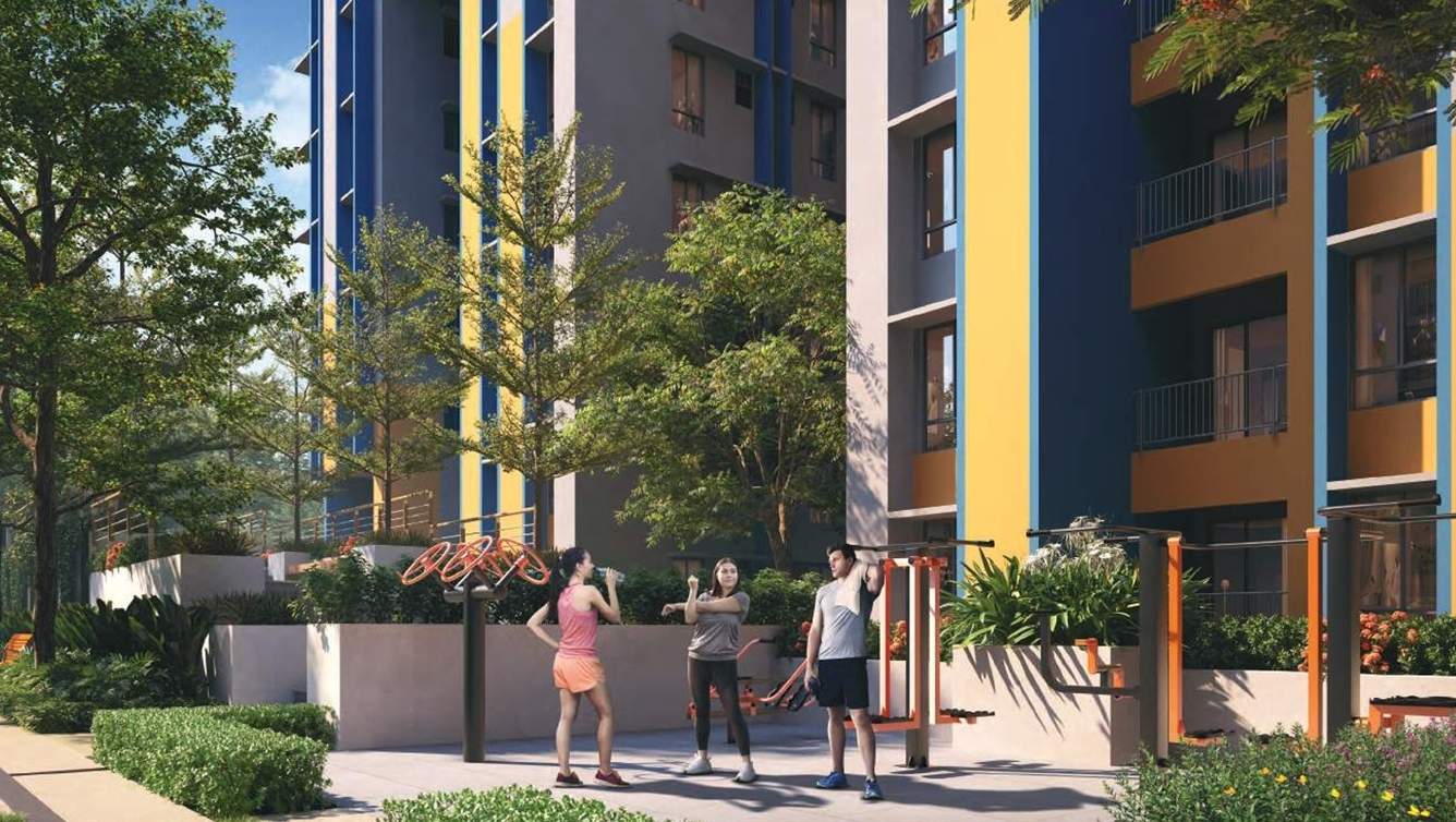  good earth phase 1 Gymnasium