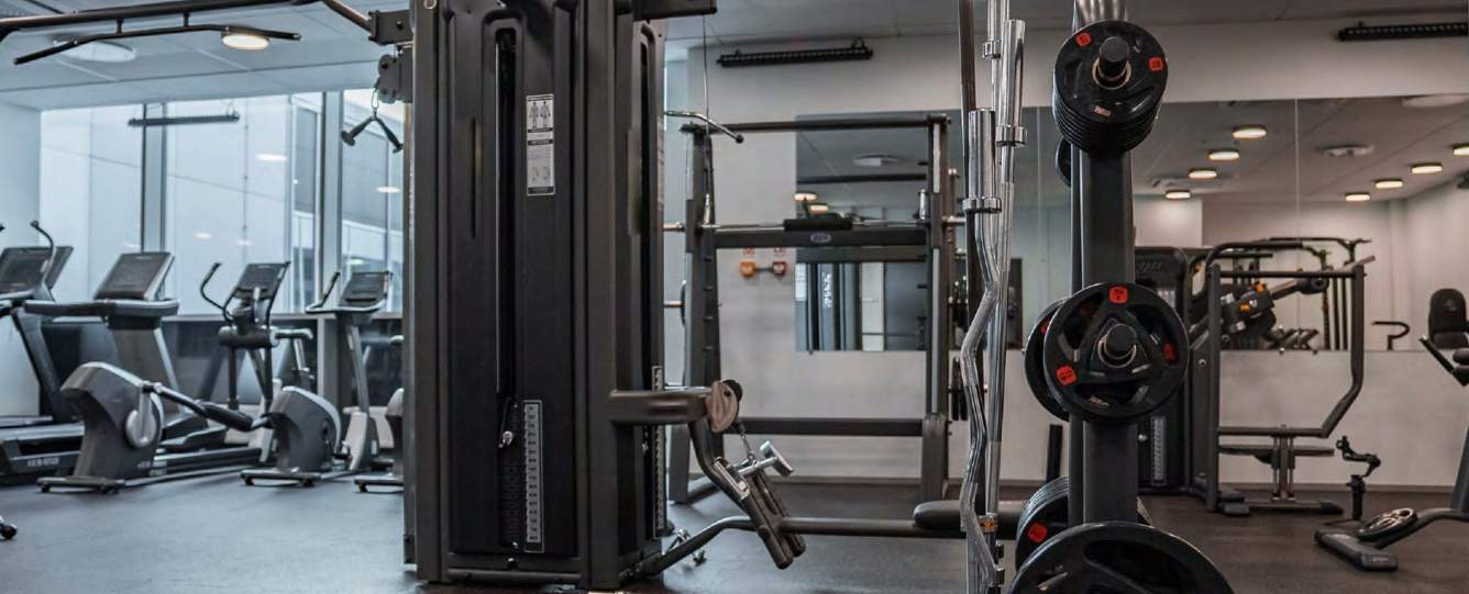  palm drive Gymnasium