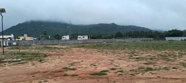  saranki-palm-paradise Plot