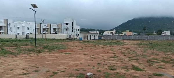  saranki-palm-paradise Plot