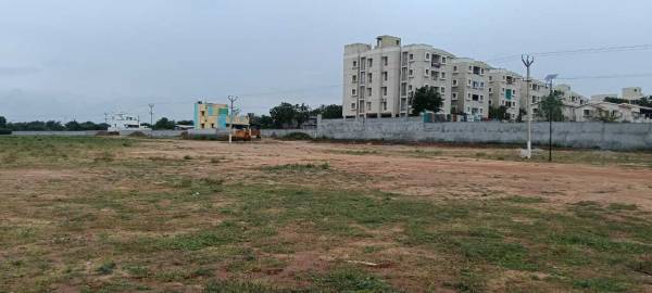  saranki-palm-paradise Plot