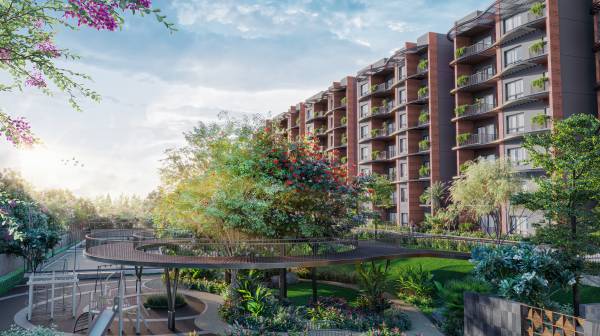  winds-of-change Elevation