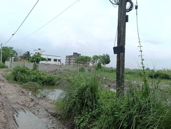  green-city-society Elevation