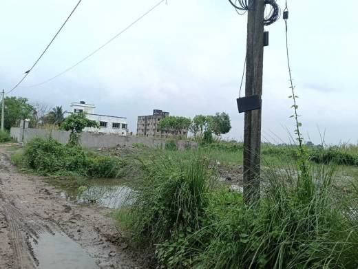 green-city-society Elevation Elevation