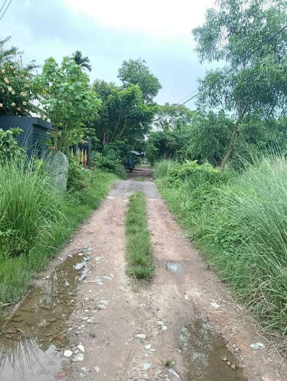  green city society Internal Roads & Footpaths