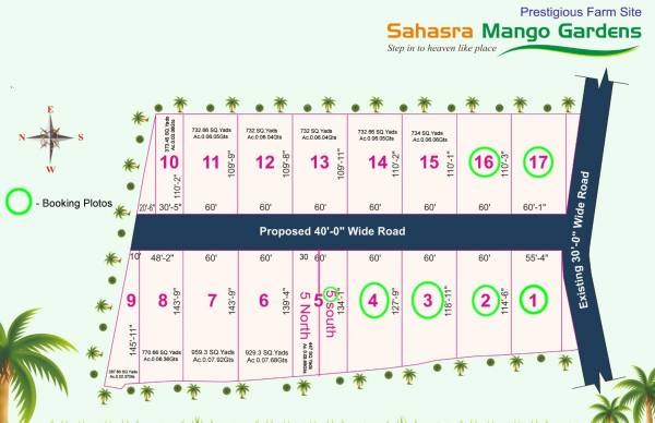  sahasra-mango-garden-phase-1 Layout Plan