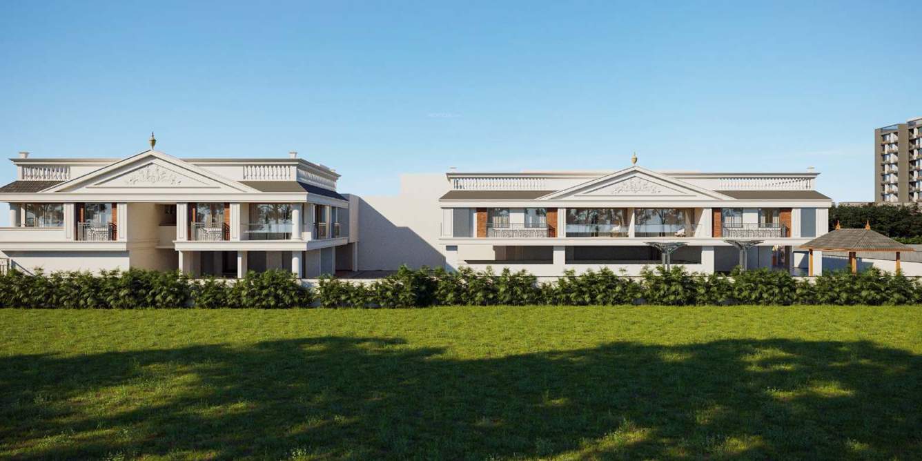  raj mahal and the lake palace Landscape Garden and Tree Planting