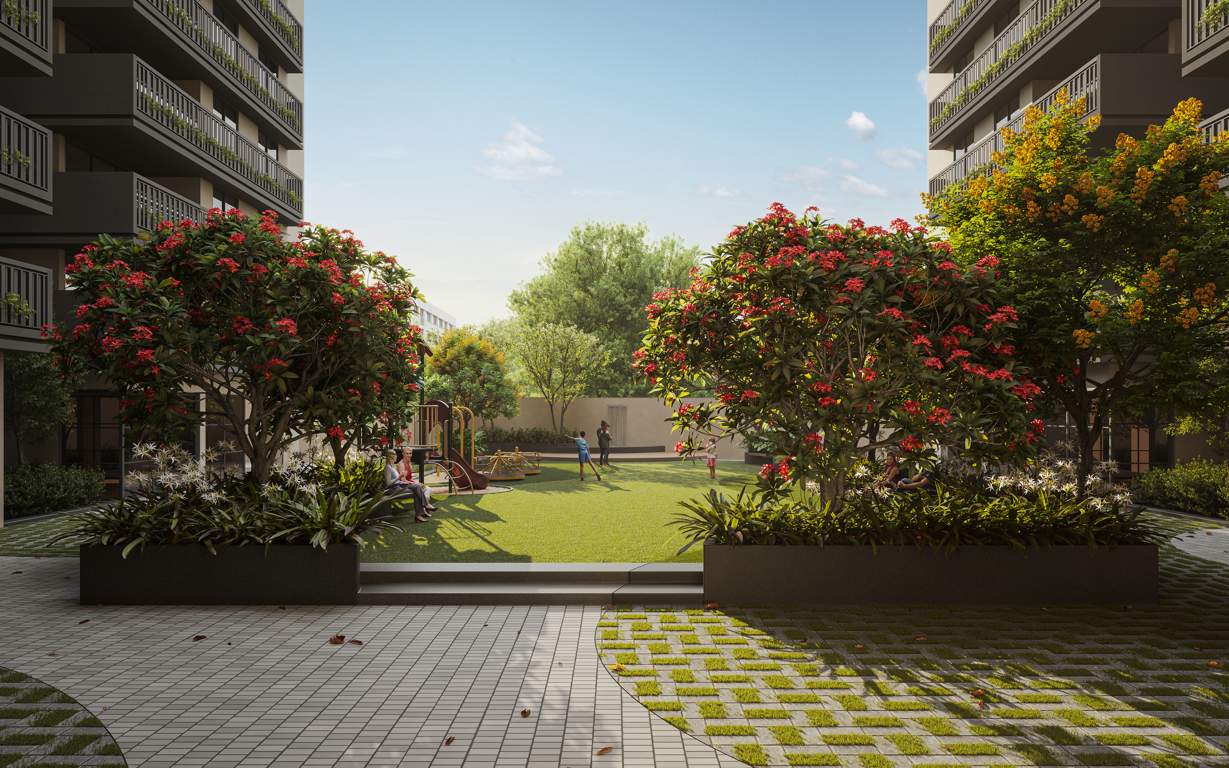  capital sivesta Landscape Garden and Tree Planting