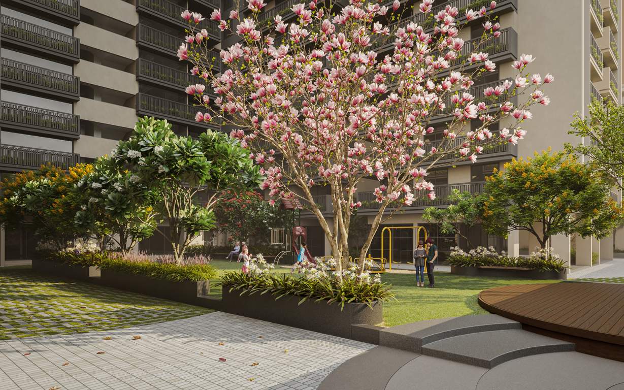  capital sivesta Landscape Garden and Tree Planting