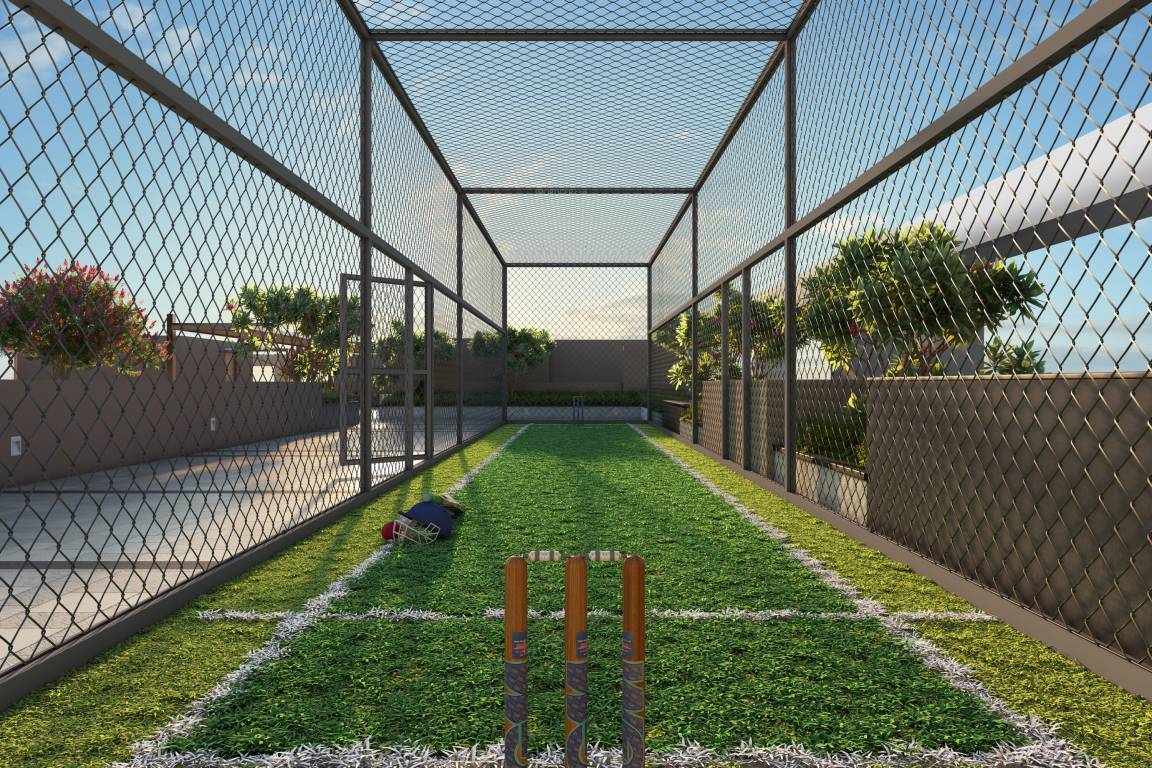 adidev Cricket arena