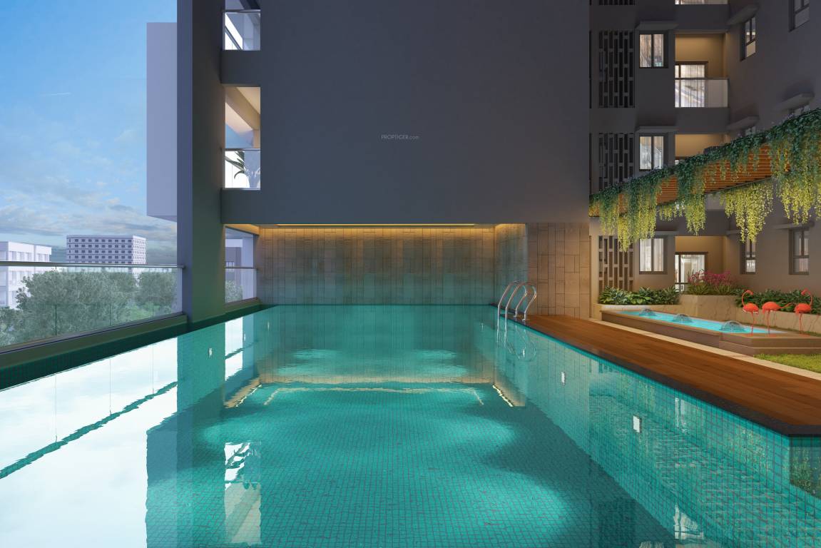 adidev Swimming Pool