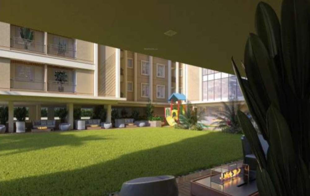  felecia Landscape Garden and Tree Planting