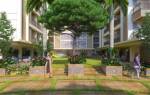  felecia Landscape Garden and Tree Planting