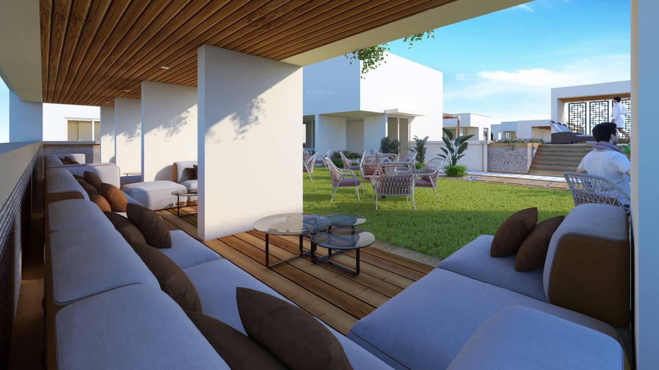  felecia Senior Citizen Sitout