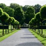  shri-vivek-heritage Landscape Garden and Tree Planting