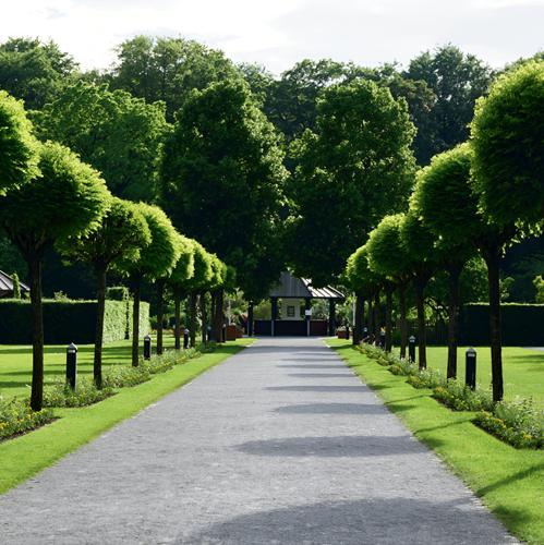 Landscape Garden and Tree Planting shri-vivek-heritage Landscape Garden and Tree Planting