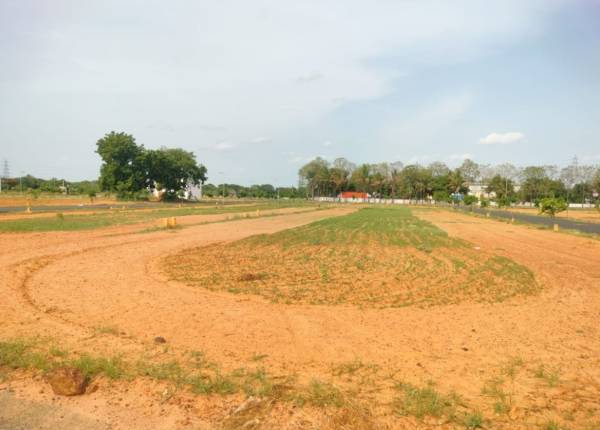  saar-grand-magnum-city Plot