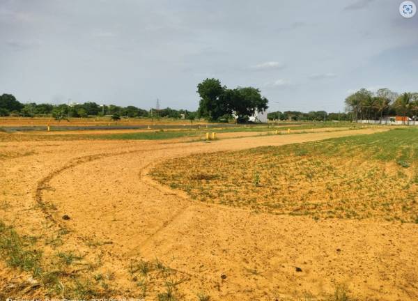  saar-grand-magnum-city Plot