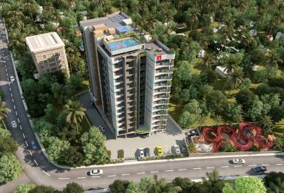 Elevation butterflies Elevation