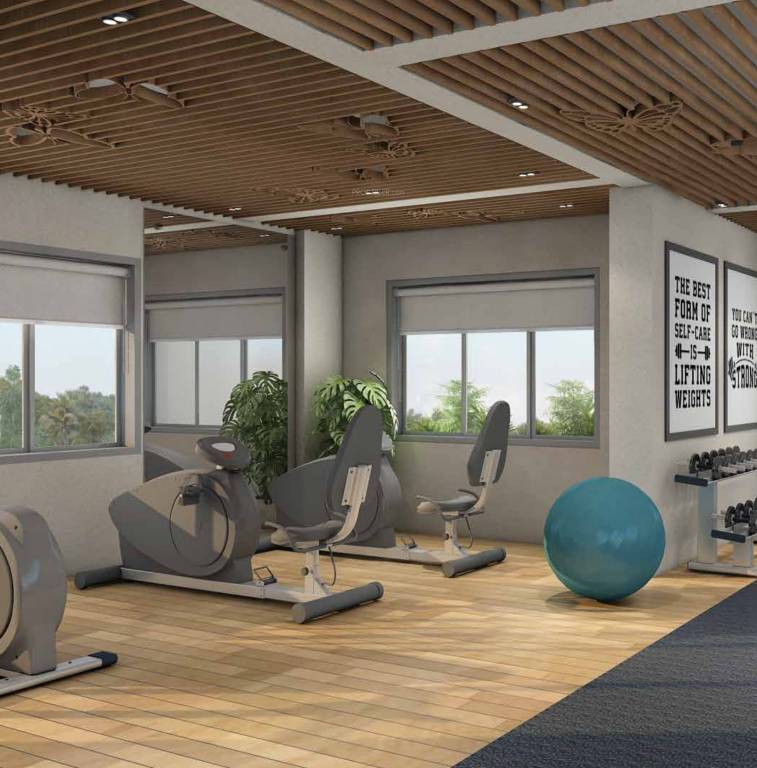 butterflies Gymnasium