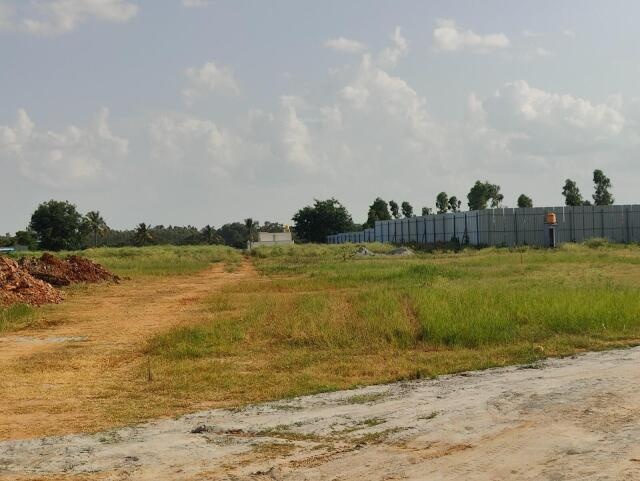 NBR Soul Of The Seasons Phase 1