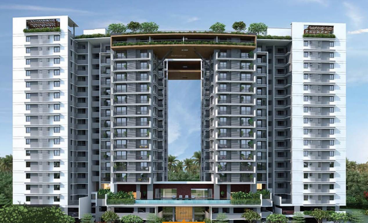  noel cloudwalk Elevation