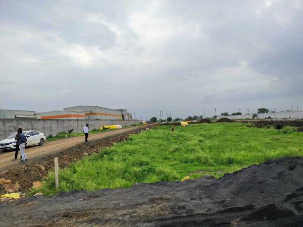  leaf-city Construction Status June-25