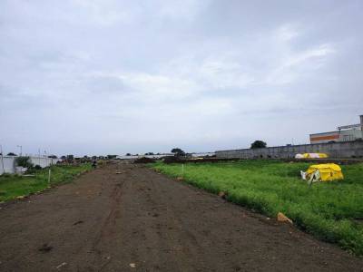 Elevation leaf-city Elevation