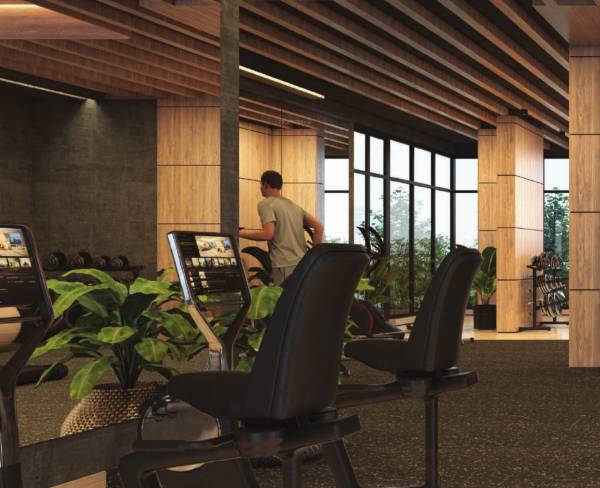 Gymnasium the-touch Gymnasium