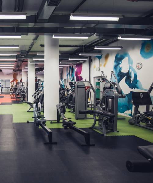  mannat-platinum Gymnasium