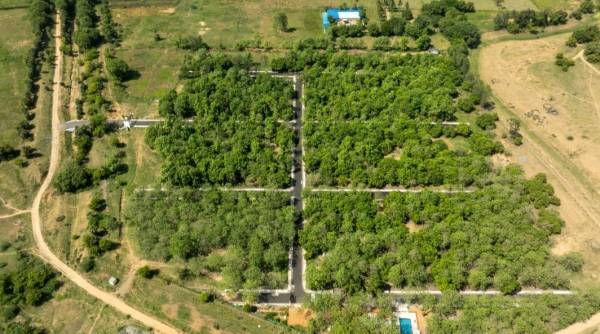  river-garden Elevation