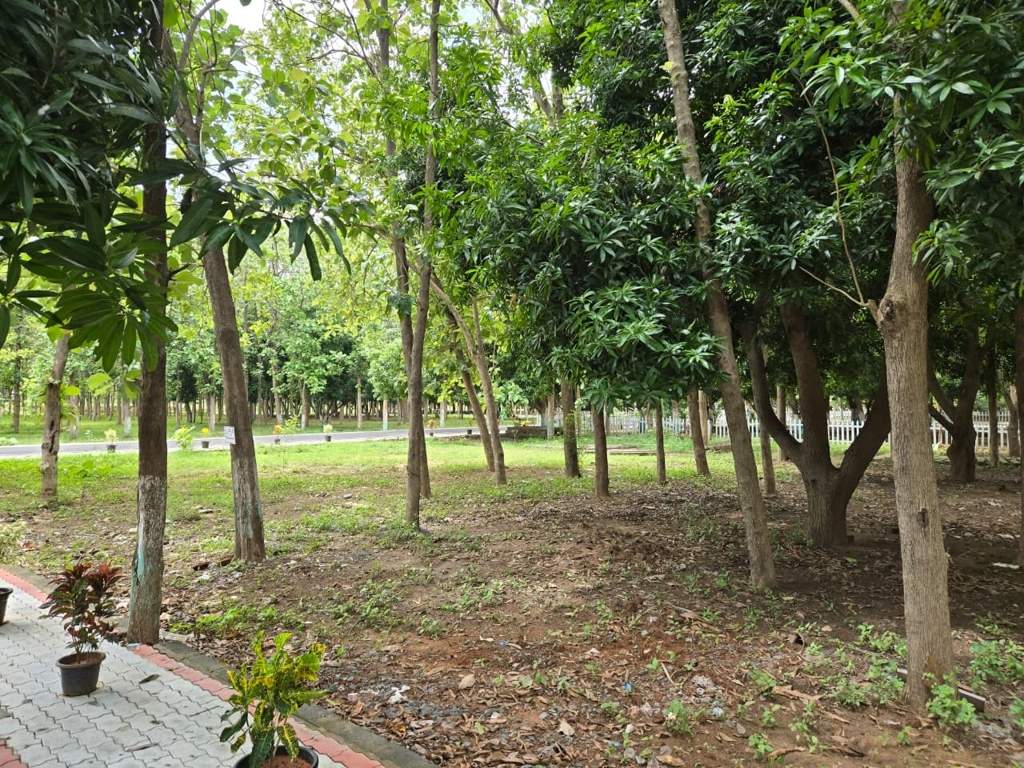  river garden Landscape Garden and Tree Planting