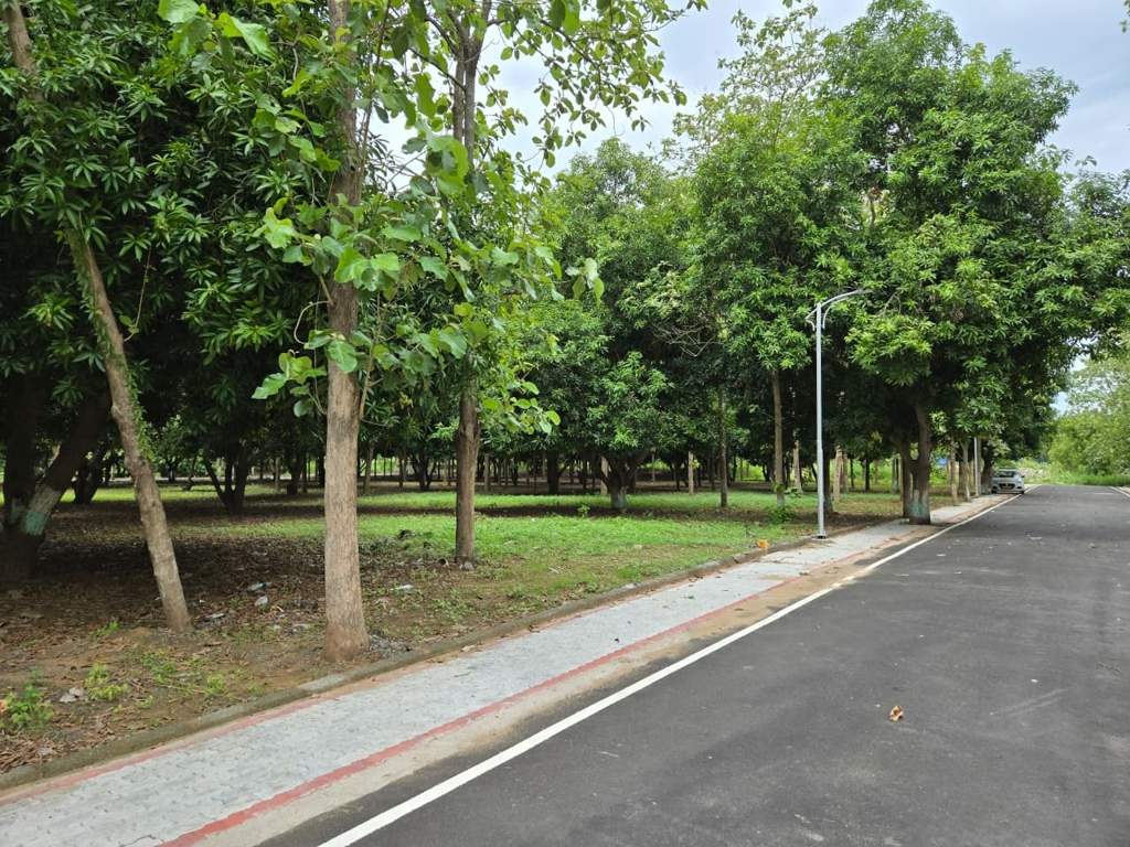  river garden Landscape Garden and Tree Planting