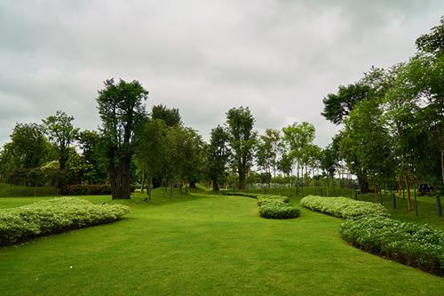  chakra-farms Landscape Garden and Tree Planting