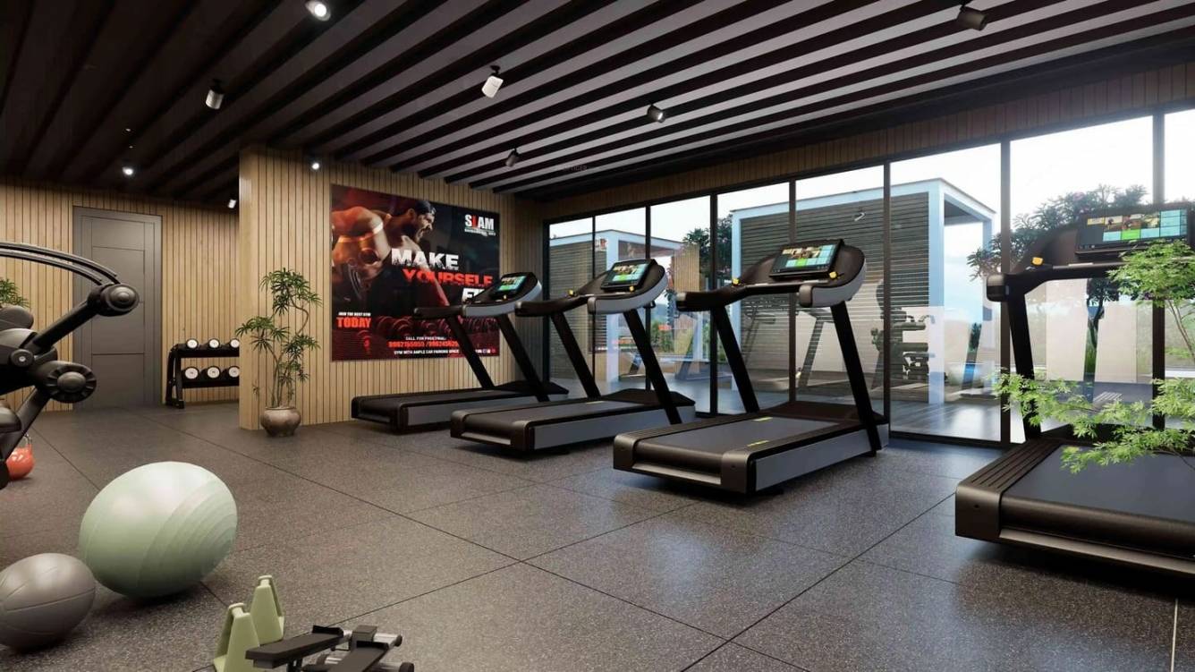  skyfinia phase 1 Gymnasium