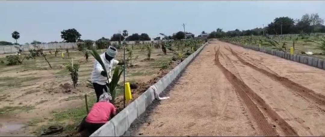  yadadri sunrise county Plot