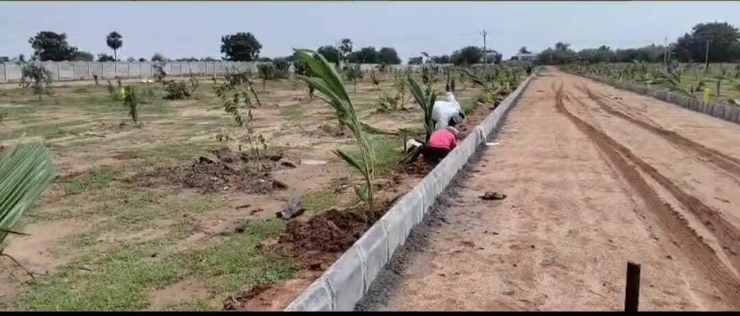  yadadri sunrise county Plot